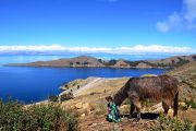 Isla del Sol - Copacabana - Bolivie - Lac Titicaca - Pasion Andina