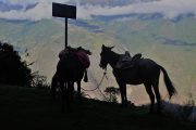 Choquequirao - Trekking - Pasion Andina - Perou - Wild - Inca - History - Andes - Nature - Mountain