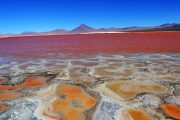 uyuni-lac-pasionandina-travelagency-sable-sel-bolivie-bolivia-trvael-voyage-montagne-mountain-rouge-nature-beautiful-algues-laguna colorada