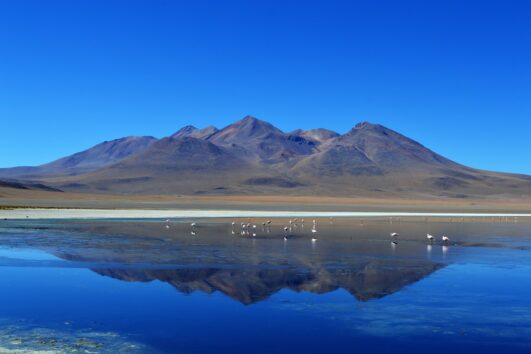 uyuni-lac-pasionandina-travelagency-montagne-mountain-bolivie-bolivia-trvael-voyage-flamant rose-oiseaux-bleu-miroir-nature-beautiful