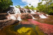 Caño cristales - Guadalupe - Pasion Andina - Colombia - Nature - Wildlife - Landscape