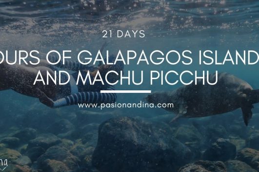 Tours of Galapagos islands and Machu Picchu