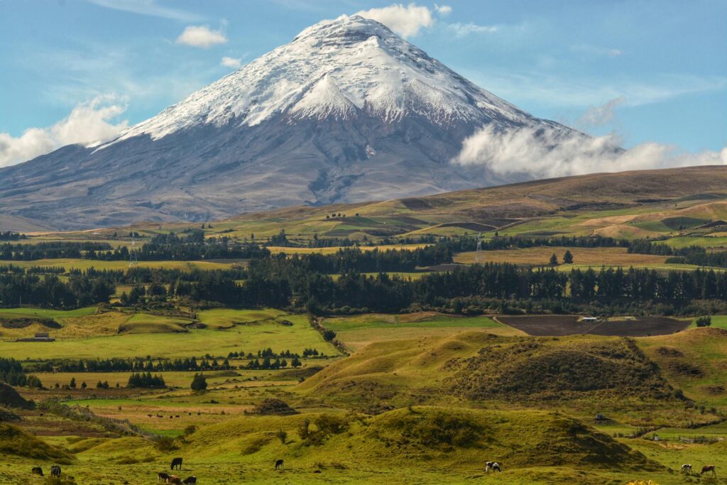 Foto panorámica del Parque Nacional Cotopaxi, con el valle irrigado por manantiales subterráneos y al fondo, la elevación del Volcán Cotopaxi y su corona de nieve.